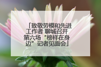 致敬劳模和先进工作者 聊城召开第六场“榜样在身边”记者见面会