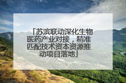 苏滨联动深化生物医药产业对接，精准匹配技术资本资源推动项目落地