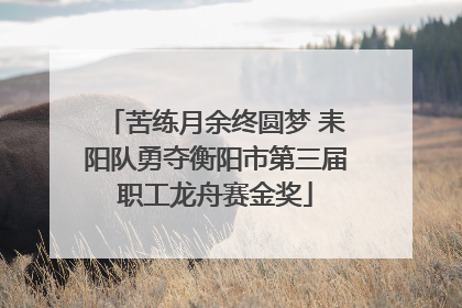 苦练月余终圆梦 耒阳队勇夺衡阳市第三届职工龙舟赛金奖