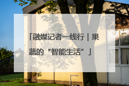 融媒记者一线行｜果蔬的“智能生活”