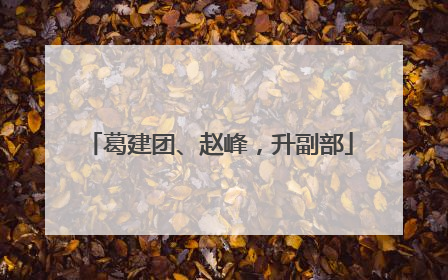 葛建团、赵峰，升副部
