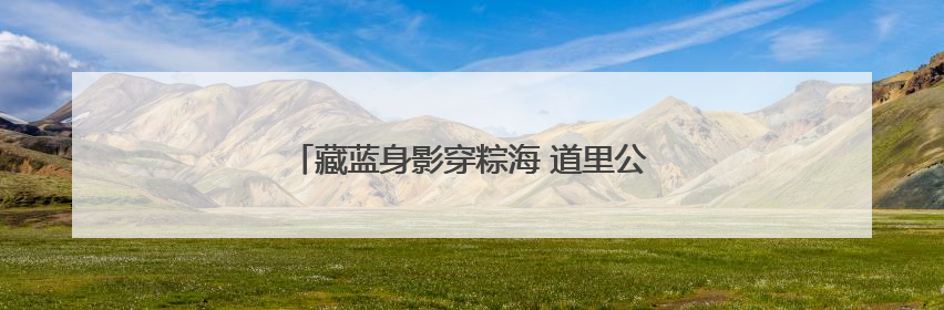 藏蓝身影穿粽海 道里公安解锁端午“平安盲盒”