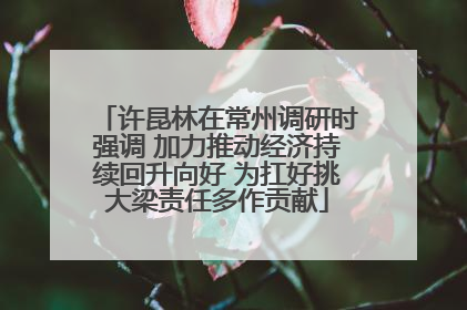 许昆林在常州调研时强调 加力推动经济持续回升向好 为扛好挑大梁责任多作贡献