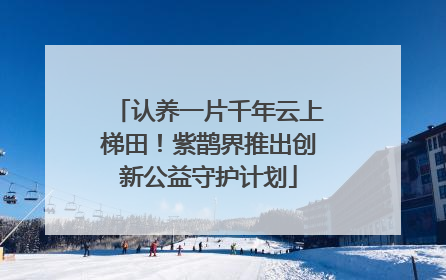认养一片千年云上梯田！紫鹊界推出创新公益守护计划