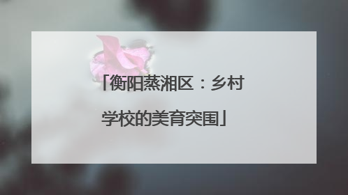 衡阳蒸湘区：乡村学校的美育突围