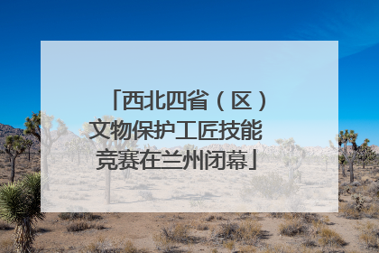 西北四省（区）文物保护工匠技能竞赛在兰州闭幕