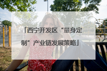 西宁开发区“量身定制”产业链发展策略