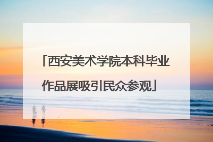 西安美术学院本科毕业作品展吸引民众参观