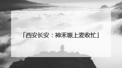 西安长安：神禾塬上麦收忙