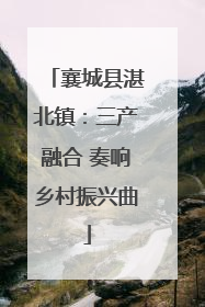 襄城县湛北镇：三产融合 奏响乡村振兴曲