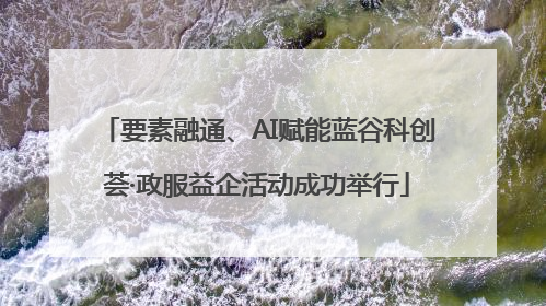 要素融通、AI赋能蓝谷科创荟·政服益企活动成功举行