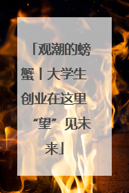 观潮的螃蟹丨大学生创业在这里“望”见未来