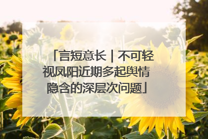 言短意长｜不可轻视凤阳近期多起舆情隐含的深层次问题