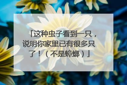 这种虫子看到一只，说明你家里已有很多只了！（不是蟑螂）
