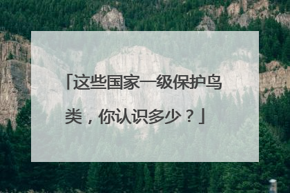 这些国家一级保护鸟类，你认识多少？