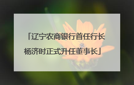 辽宁农商银行首任行长杨济时正式升任董事长
