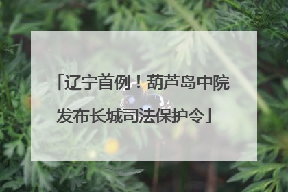 辽宁首例！葫芦岛中院发布长城司法保护令