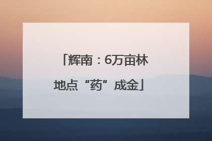 辉南：6万亩林地点“药”成金