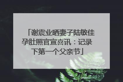 谢震业晒妻子陆敏佳孕肚照官宣喜讯：记录下第一个父亲节