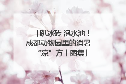 趴冰砖 泡水池！成都动物园里的消暑“凉”方丨图集