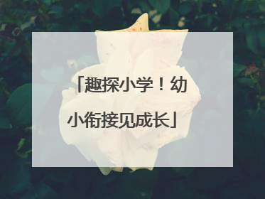 趣探小学！幼小衔接见成长