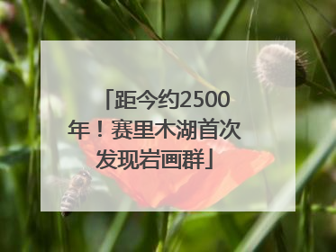 距今约2500年！赛里木湖首次发现岩画群