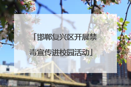 邯郸复兴区开展禁毒宣传进校园活动