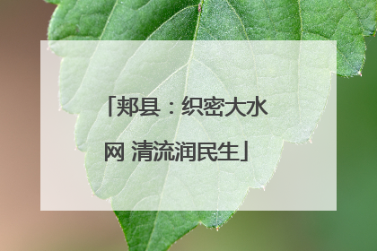 郏县：织密大水网 清流润民生