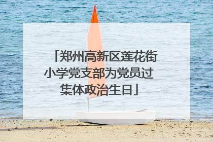 郑州高新区莲花街小学党支部为党员过集体政治生日
