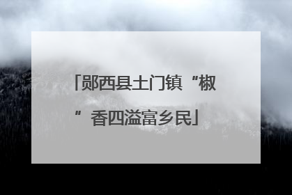郧西县土门镇“椒”香四溢富乡民
