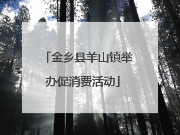 金乡县羊山镇举办促消费活动