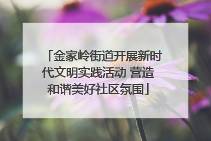 金家岭街道开展新时代文明实践活动 营造和谐美好社区氛围