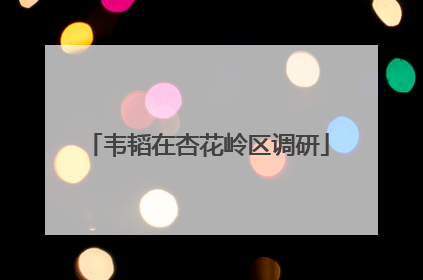 韦韬在杏花岭区调研