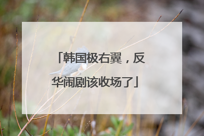 韩国极右翼，反华闹剧该收场了