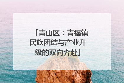 青山区：青福镇民族团结与产业升级的双向奔赴
