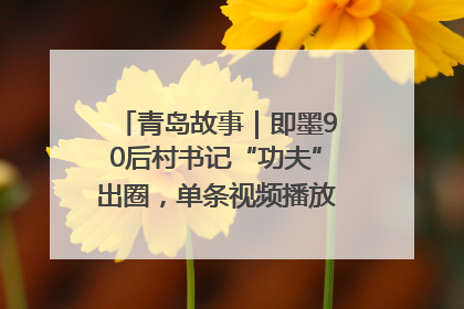青岛故事｜即墨90后村书记“功夫”出圈，单条视频播放量过600万