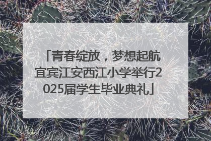 青春绽放，梦想起航 宜宾江安西江小学举行2025届学生毕业典礼