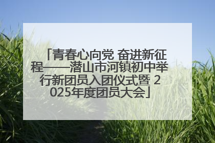 青春心向党 奋进新征程——潜山市河镇初中举行新团员入团仪式暨 2025年度团员大会