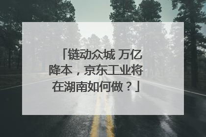 链动众城 万亿降本，京东工业将在湖南如何做？