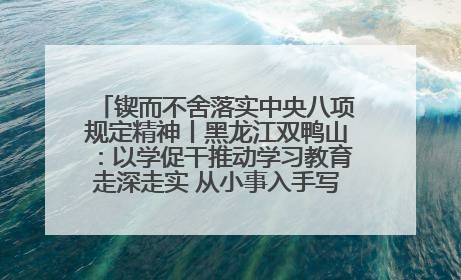 锲而不舍落实中央八项规定精神丨黑龙江双鸭山：以学促干推动学习教育走深走实 从小事入手写好“民生答卷”