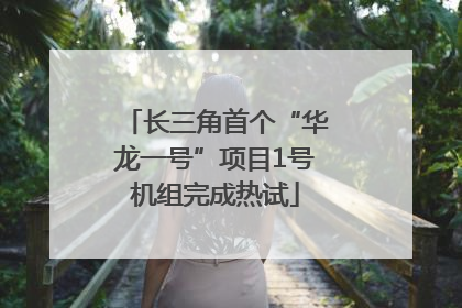 长三角首个“华龙一号”项目1号机组完成热试