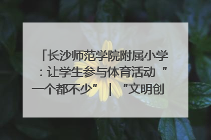 长沙师范学院附属小学：让学生参与体育活动“一个都不少”｜“文明创建耀三湘”专栏
