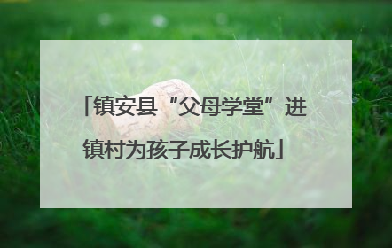 镇安县“父母学堂”进镇村为孩子成长护航