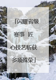 闪耀省级赛事  匠心技艺斩获多项殊荣