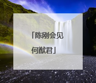 陈刚会见何猷君
