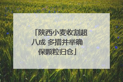 陕西小麦收割超八成 多措并举确保颗粒归仓
