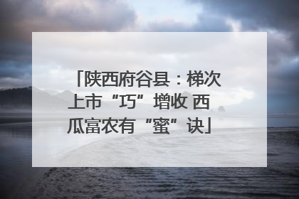 陕西府谷县：梯次上市“巧”增收 西瓜富农有“蜜”诀