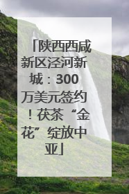 陕西西咸新区泾河新城：300万美元签约！茯茶“金花”绽放中亚