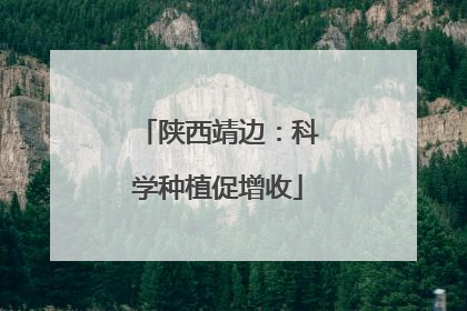 陕西靖边：科学种植促增收