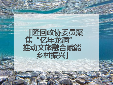 隆回政协委员聚焦“亿年龙洞” 推动文旅融合赋能乡村振兴